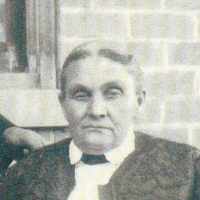 Phoebe Nisonger (1851 - 1932) Profile